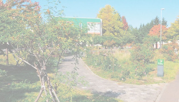 施設周辺の庭園と秋の樹木が見える外構